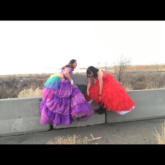 Meet your Posher, Elle - Picture 8 of 8